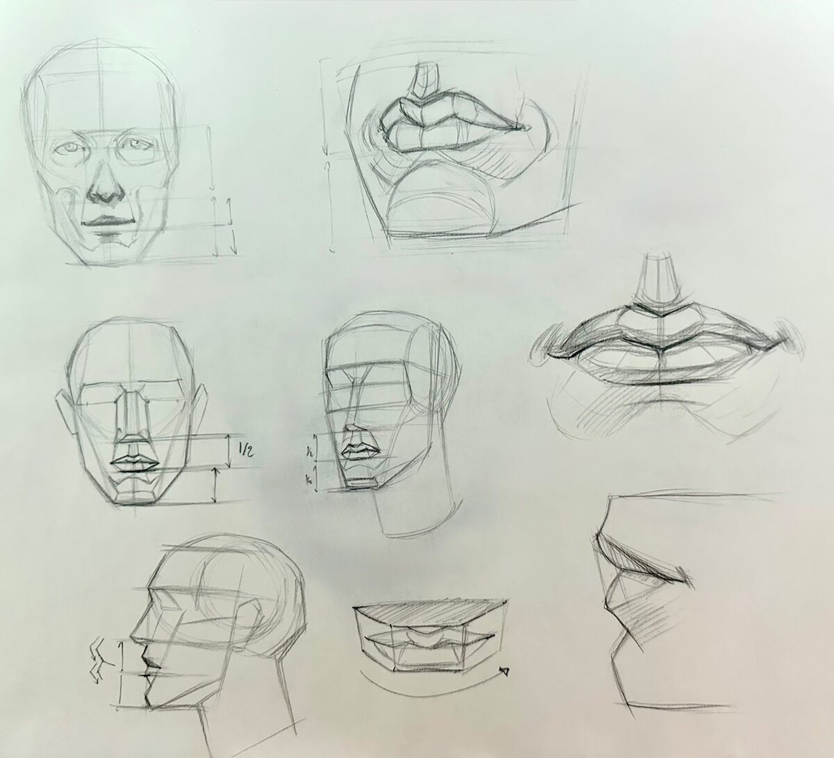 Facial construction and mouth-form studies drawn on paper