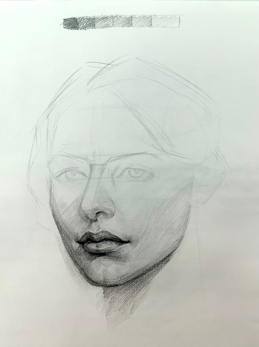 Portrait drawing study showing light and shadow across the face